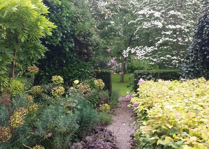 Bij Janneke Sleeuwijk